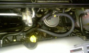 IMAG0425.jpg
