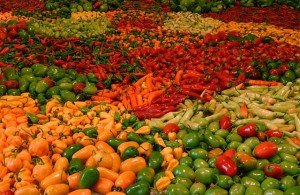 chiles234e3.jpg