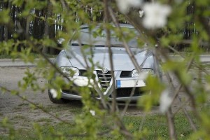 _MG_6502.JPG