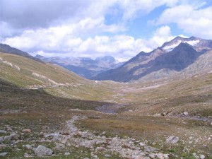 IMG_0108.JPG