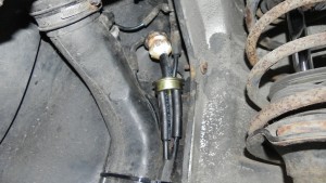 DSCN5564.jpg
