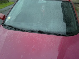 02072011061.jpg