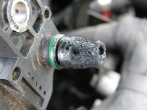 DSCF2840.JPG