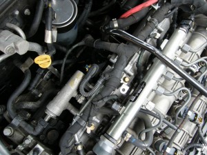 DSCF2837.JPG