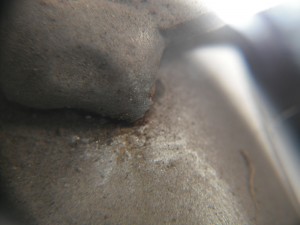 DSCF8381.JPG