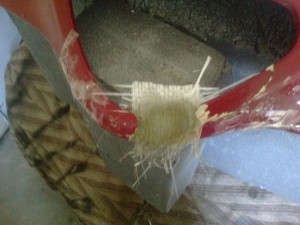 17092011152.jpg