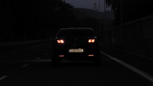 DSCN7279.jpg