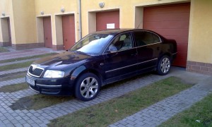 IMAG0296.jpg