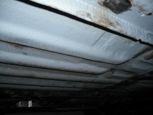 DSCF9018.JPG