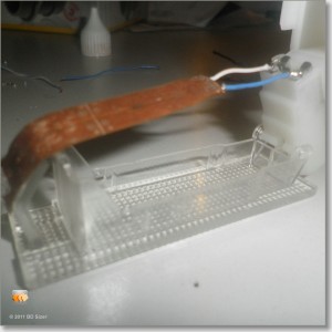 sized_PB061344.JPG