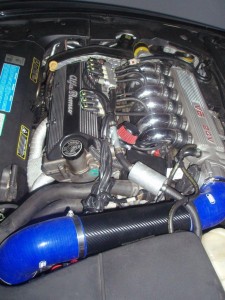 PB110296.jpg