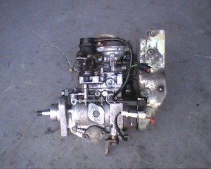 IMG0223A.jpg