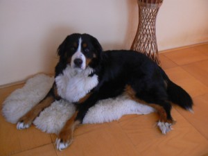 P1010083.JPG