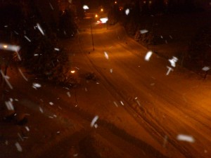 DSC_7806.JPG