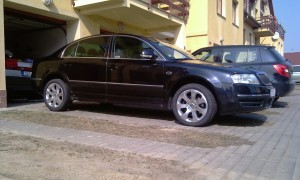 IMAG0016.jpg