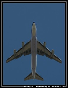 IMG_2199_UP.jpg