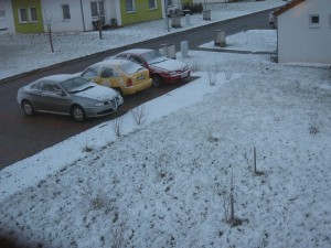 IMG_3142.JPG