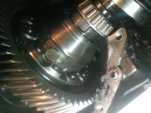 IMAG0318.jpg