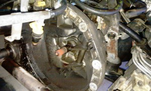 IMAG0064.jpg