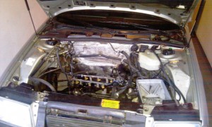 IMAG0063.jpg