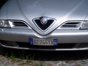 P1010005.JPG