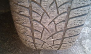 IMG_201202.jpg