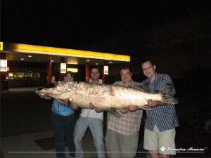 DSCF8770deadFISH.JPG