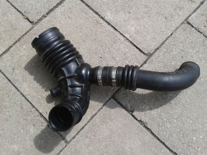 IMG_20120711_105433.jpg