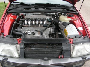 PICT6201.JPG