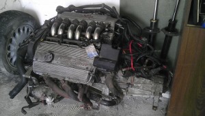 IMAG0844.jpg