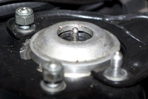 IMG_5573.jpg