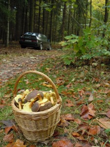 DSCN3144.JPG (239.56 KiB) Zobrazeno 21583 x DSCN3144.JPG