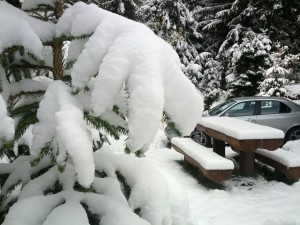 IMG_20121028_110120.jpg