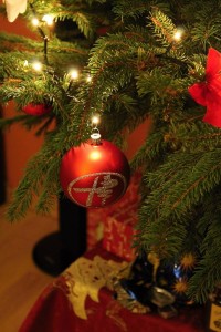 IMG_1115.JPG