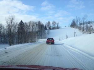 IMG_0270_cesta.jpg