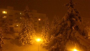 DSC_0478.jpg