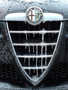 20130126_073829a.jpg