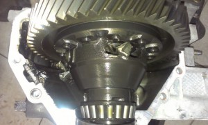 IMAG0928.jpg