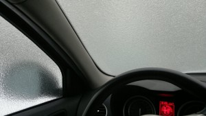 2013-02-21-2428.jpg