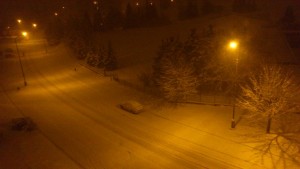 DSC_0778.jpg