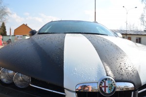 DSC_1260.JPG