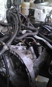 WP_20130505_005.jpg