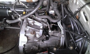WP_20130505_003.jpg
