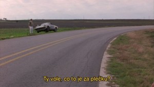 grazlove 2.jpg