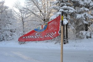 img00147.jpg