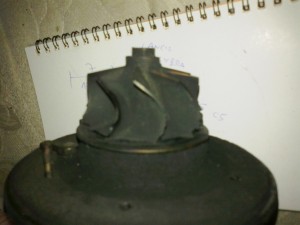 02062013317.jpg