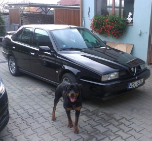 IMAG0041.jpg
