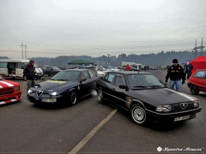 sosna4.jpg