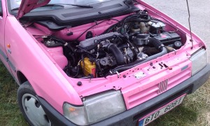 IMAG0339.jpg