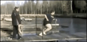 381.gif